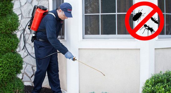 Karacabey Tahtakurusu İlaçlama böcek ilaçlama ve haşere kontrolü — ilaclama-tr.com
